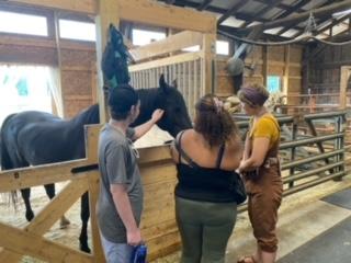 Students care for horses in their stables