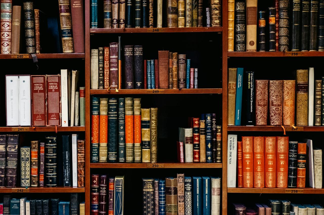 bookshelf full of books